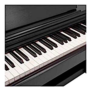 YDP-144-2