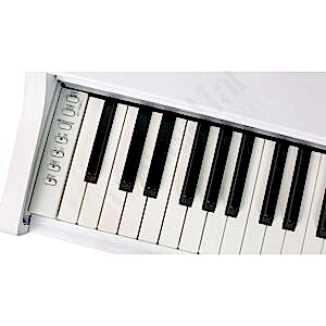YDP-163-2