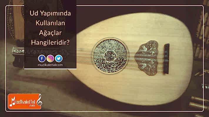 Ud yapımında kullanılan ağaçlar hangileridir?